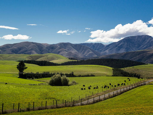 Rural farm land with mountain in distance and blue skies
