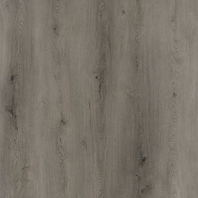Spanish Oak 9194.jpg