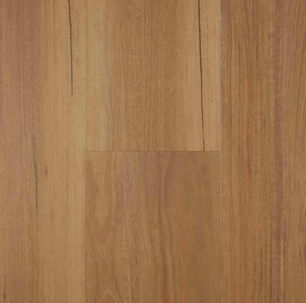 Spotted Gum 184mm.jpg