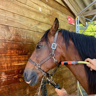 rafraichir son cheval