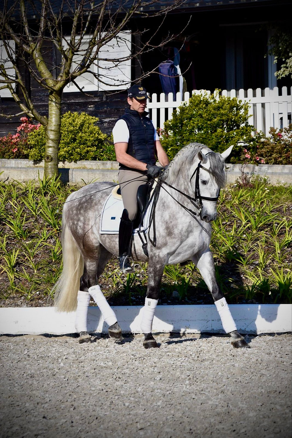 Miniature : Garboso CSLR - PRE