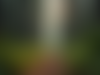 The Power of Mindfulness in Everyday Life