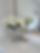 IMG_6271.jpeg