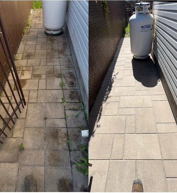 Untitled design (3).png