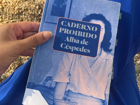 A Beleza das Histórias: Caderno Proibido