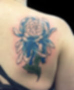 chrysanthemum