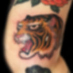 tiger