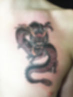 dragon small