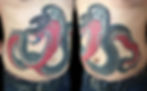 cobra