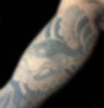 snake