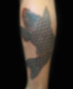 koi antonio