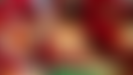 Dishes and desserts for end-of-year festivities in Ecuador.