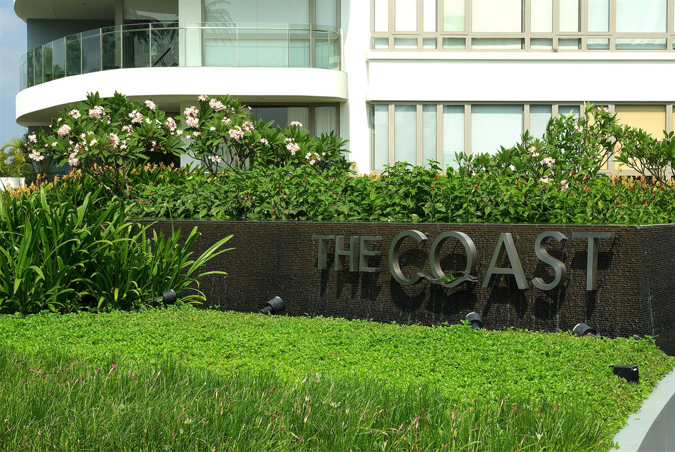 TC 01.jpg