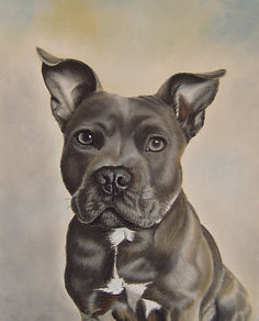 STAFFIE
