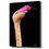 Thumbnail: Flamingo Wildlife Caribbean Animal Bird Pink