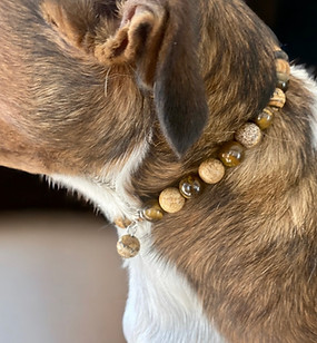 Collier chien pierres naturelles Oeil de Tigre