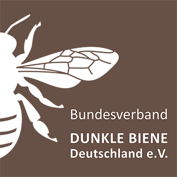 Dunkle Biene