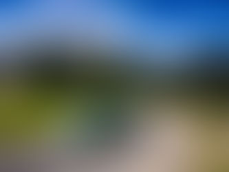 Clio Trophy Asphalte