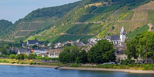 leutesdorf_wein_radtour_600opt