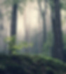 AdobeStock_152311684-2.jpg