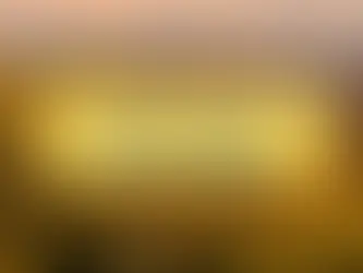 MVP to Startup Success