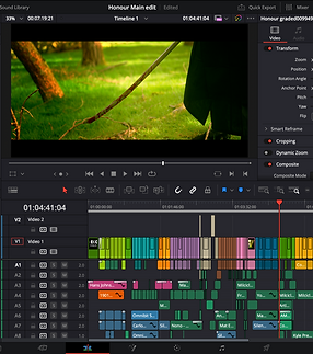 Screenshot 2024-08-14 at 4.19.10 PM.png