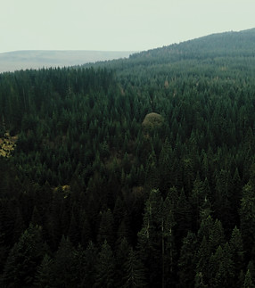 Screenshot 2024-08-14 at 4.09_edited.jpg