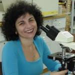 Dra. Renata Maria Strozi Alves Meira