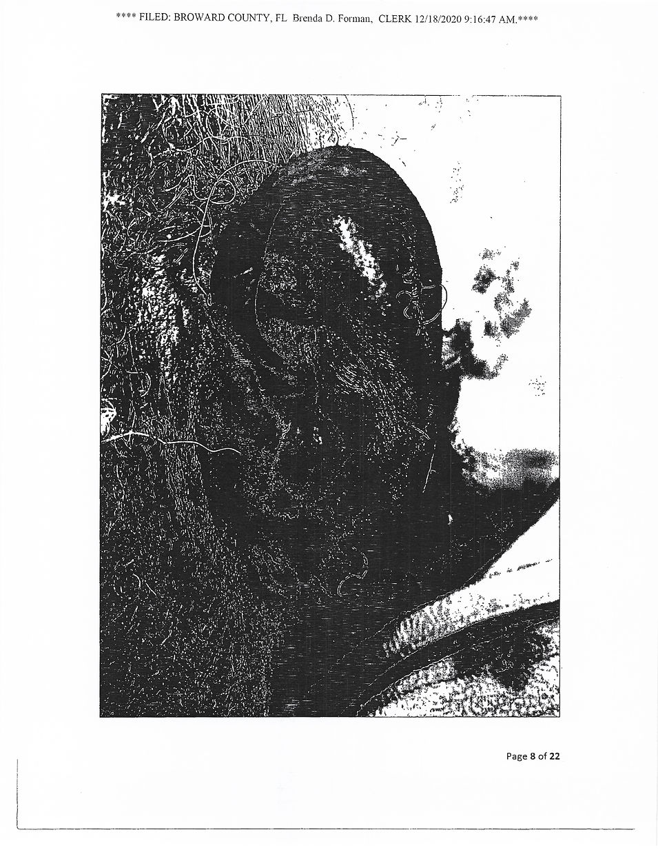Court December 18 2020 - 2nd Copy (69 pages)_Page_13.jpg