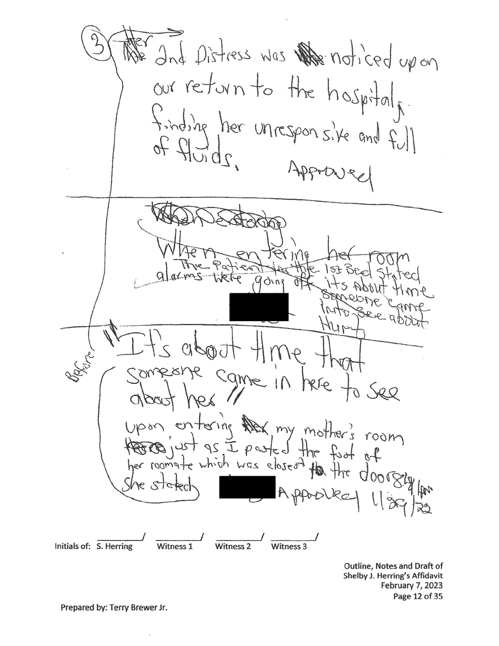 Shelby Herring Affidavit Outline (copy)_Redacted_Page_12.png