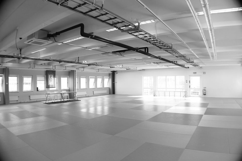 Dojo Stor 1