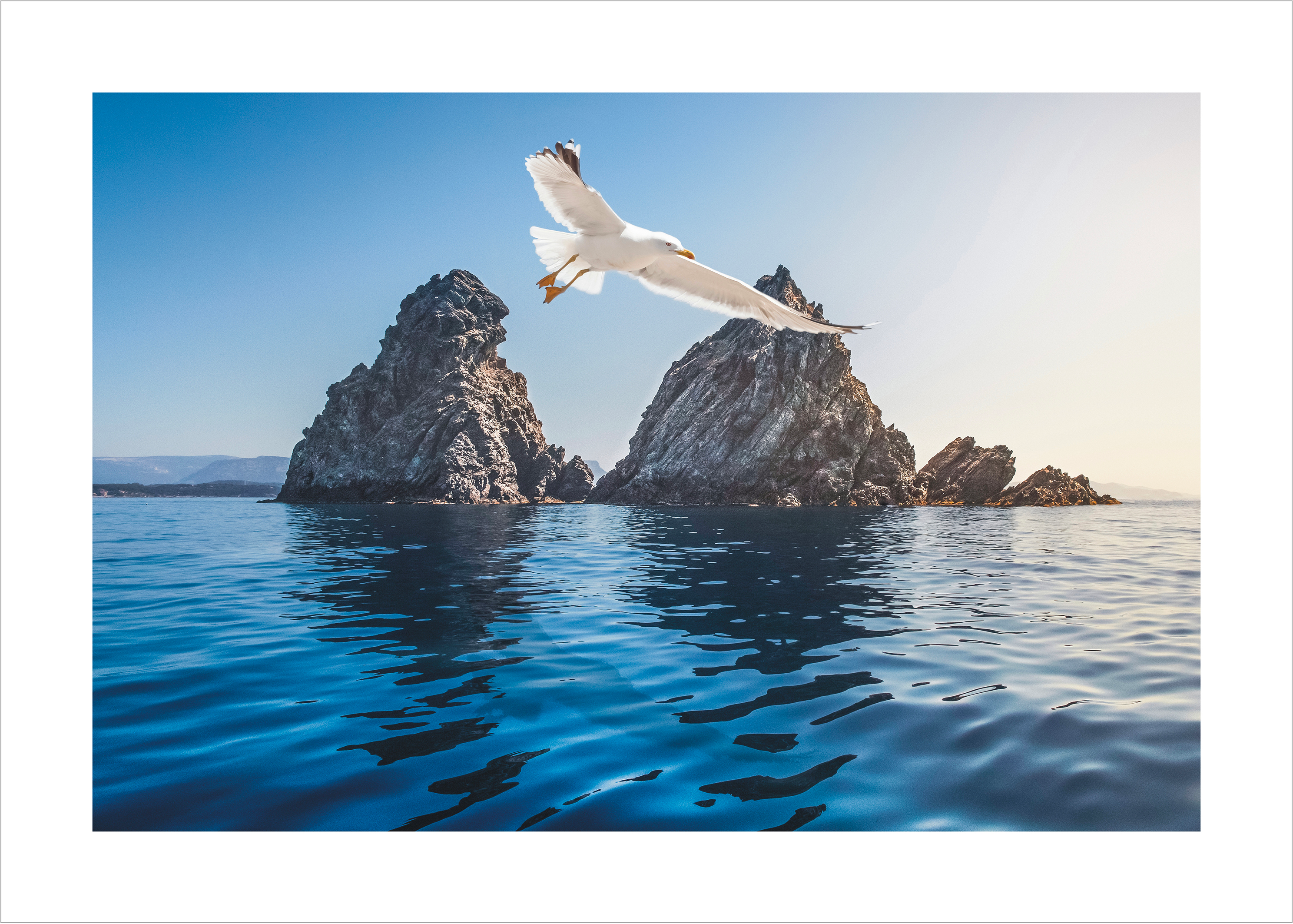 Les Deux Frères et le Gabian