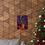 Thumbnail: BLACK MOLD ENCODED