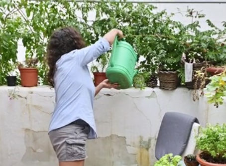 Urban Farming on a Budget