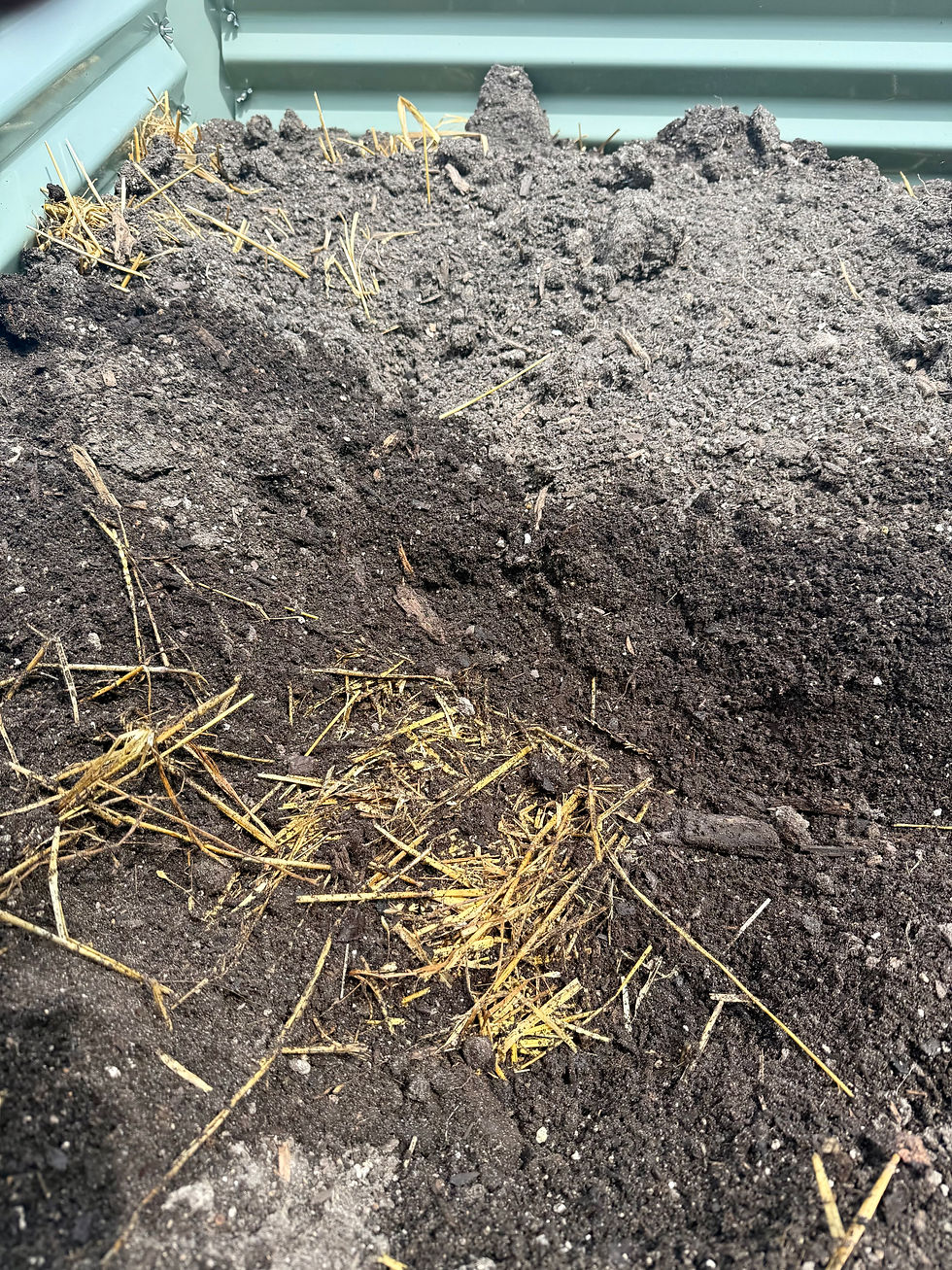 A Budget-Friendly Way to Fill Tall Raised Beds Without Breaking Your Back or the Bank