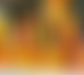 Citrus Preserved in Honey (A European Method)