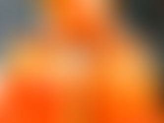 Homemade Tomato Passata From Frozen Tomatoes