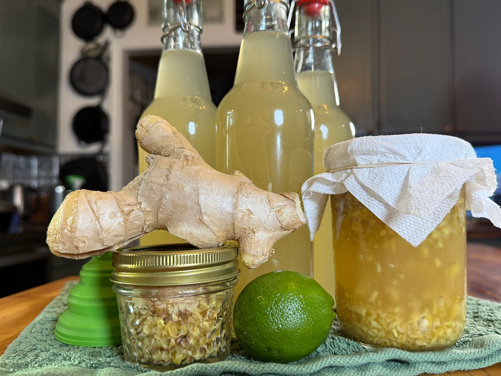 How to Make a Ginger Bug (and What to Do When It’s Alive)