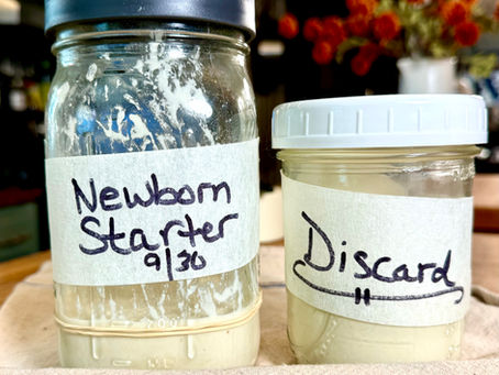 How to Make, Feed & Read a Sourdough Starter