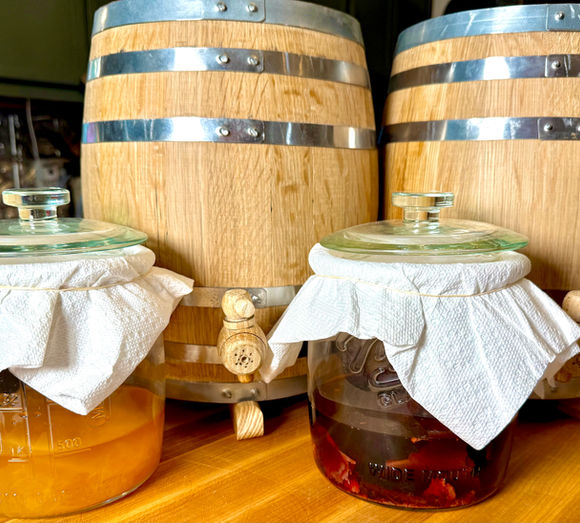 How to Build Up a Vinegar Mother (Without Killing It)Luxury Vinegar Series