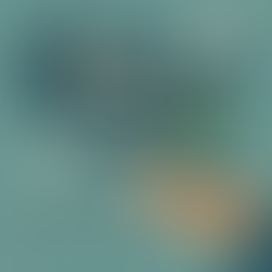 How Political Pressure Shapes ESG Products Offered to the Public – An Empirical Perspective