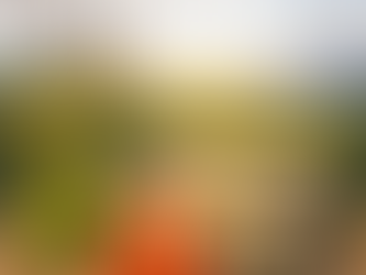 ליטיגציה פשרנית בנושאי סביבה