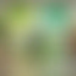 How Behavioral Economics Influences Green Consumer Choices