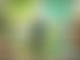 כיצד הכלכלה ההתנהגותית משפיעה על בחירה צרכנית ירוקה