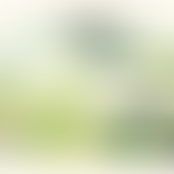 Greenwashing as a cause of legal responsibility is taking shape: between ESG statements, soft regulation, and international case law