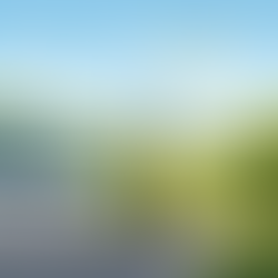 EU Sustainability Omnibus Regulation | Part 2