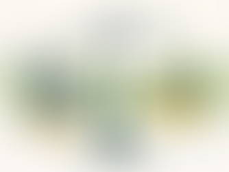 ESG Ratings: From Intent to Performance – Between Words and Reality