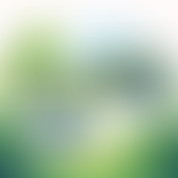 Employee Transportation in ESG Reporting - Unrealized Potential