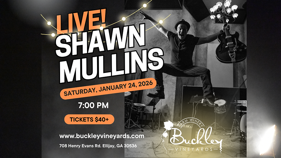 Shawn Mullins (1920 x 1080 px).png