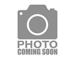 360_F_376408140_kiazgwOvkEy0e50oxgF5kllIl7j2q1SQ.jpg